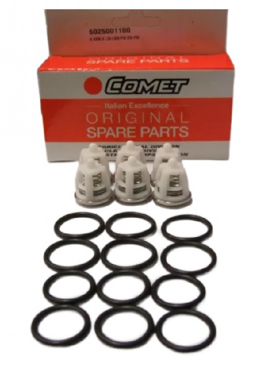 Комплект клапанов для Comet FW2 и Comet LW 3525 S и Comet ZW 4030 S