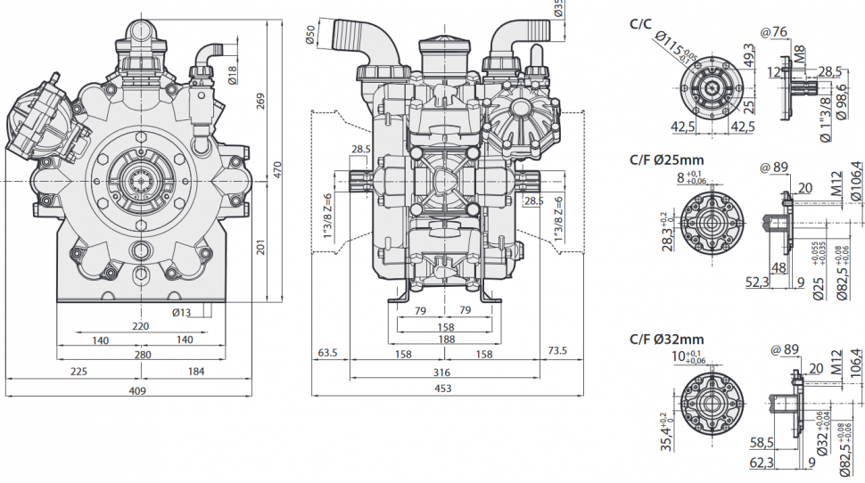 Мембранный насос AR 250 bp C/F ø 25 BlueFlex арт.32044