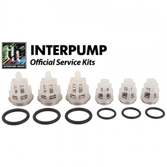 Комплект клапанов для Interpump Evolution Kit 269
