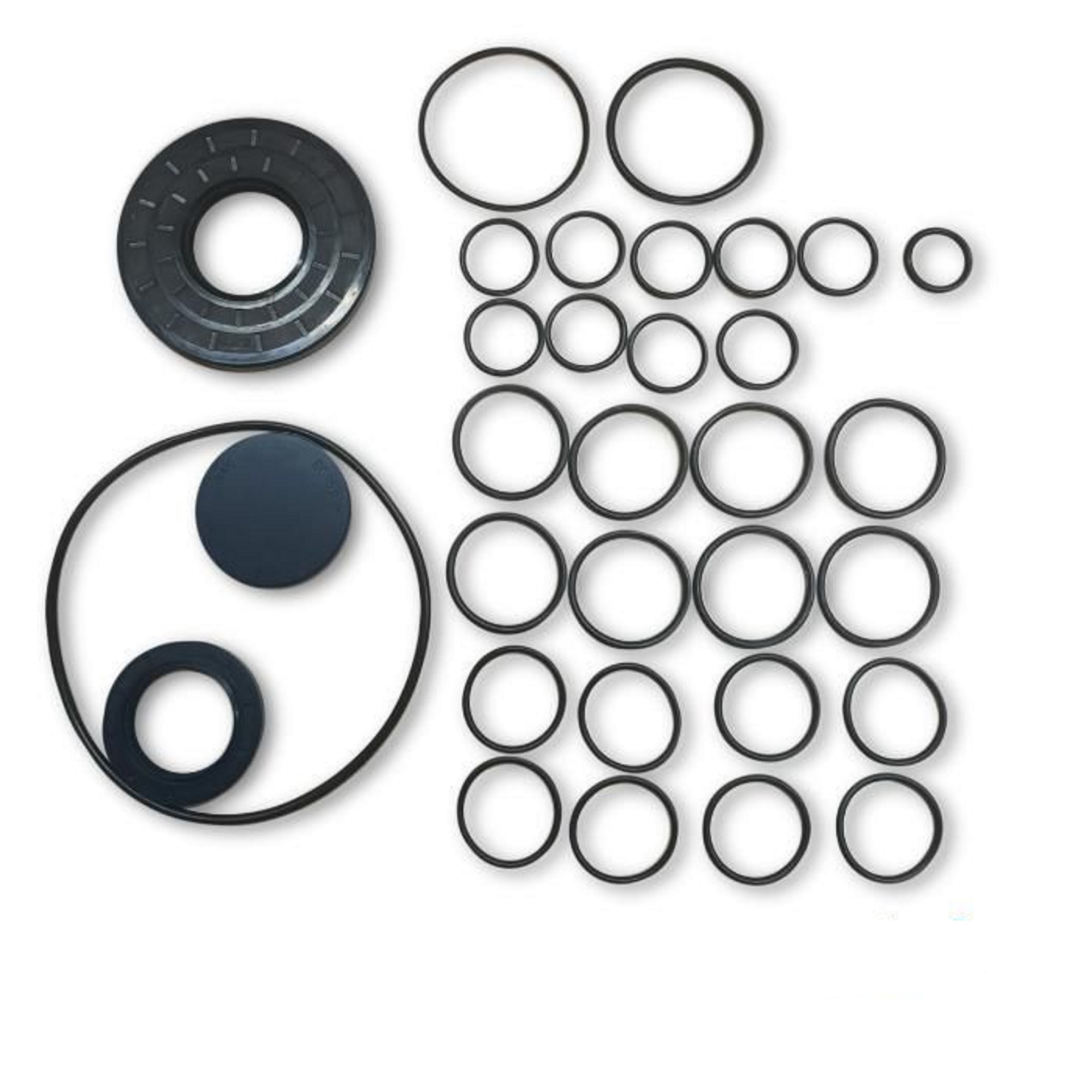 KIT ремонт PPS-100